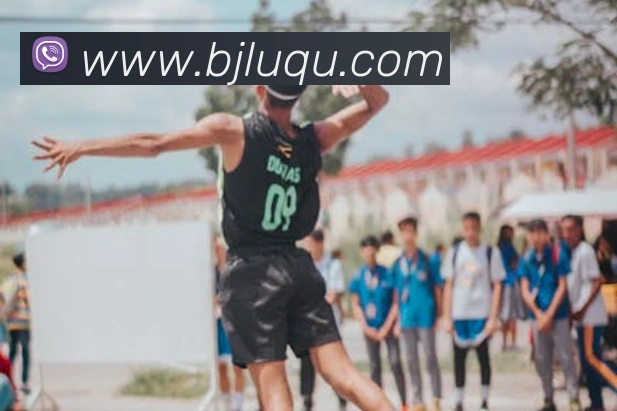 澳门百家乐网站平台生态图